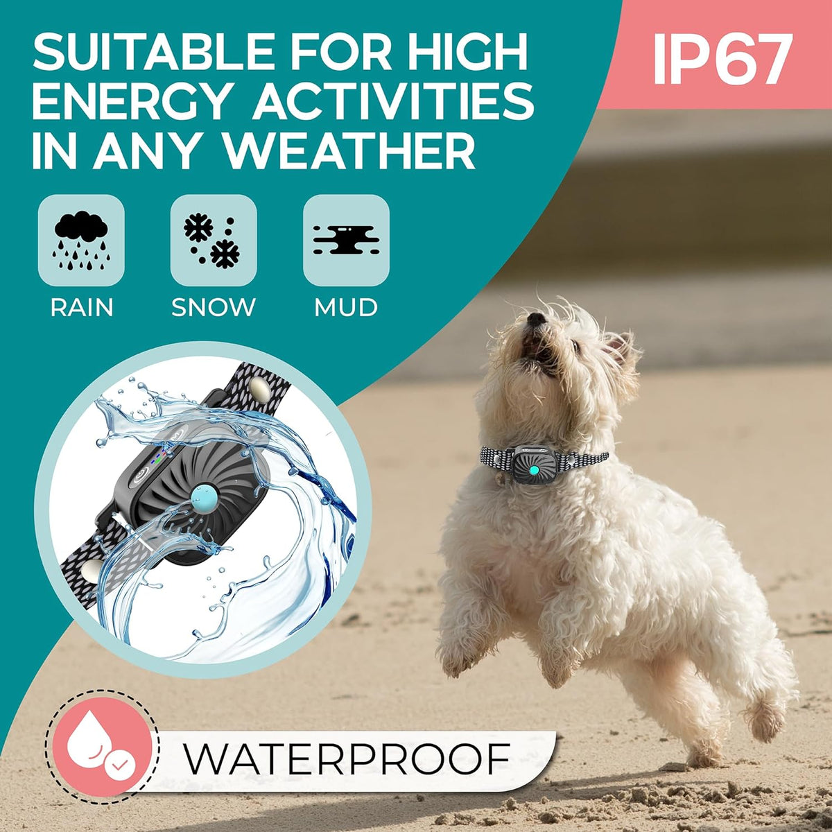 Infographic met waterdichte hondenband, gedragen door witte hond op strand | Boutique Moda
