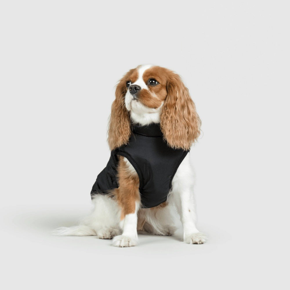 Cavalier in een zwarte hondenjas, van voren