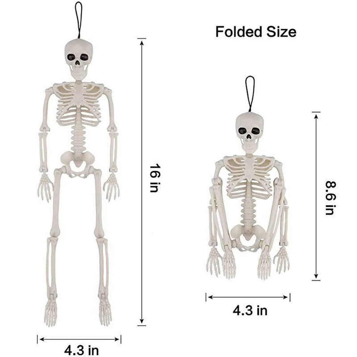 Skelet van 40 cm met ophanglus, gestrekt en opgevouwen