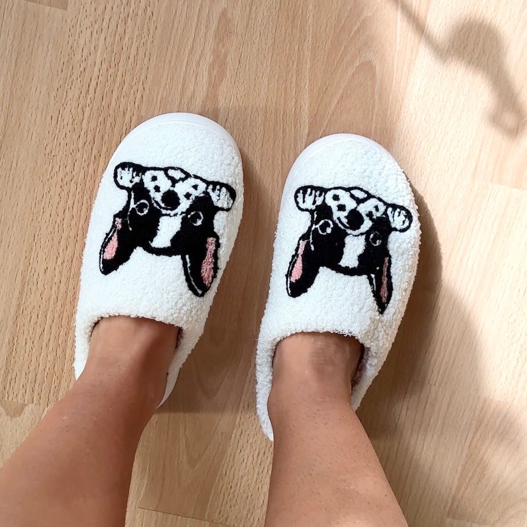 Sloffen met Boston terrier 5