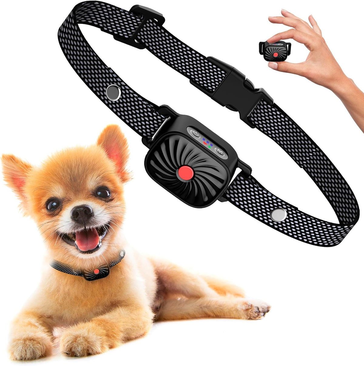 Zwart gaasband halsband met apparaat, gedragen door kleine hond, zittend | Boutique Moda