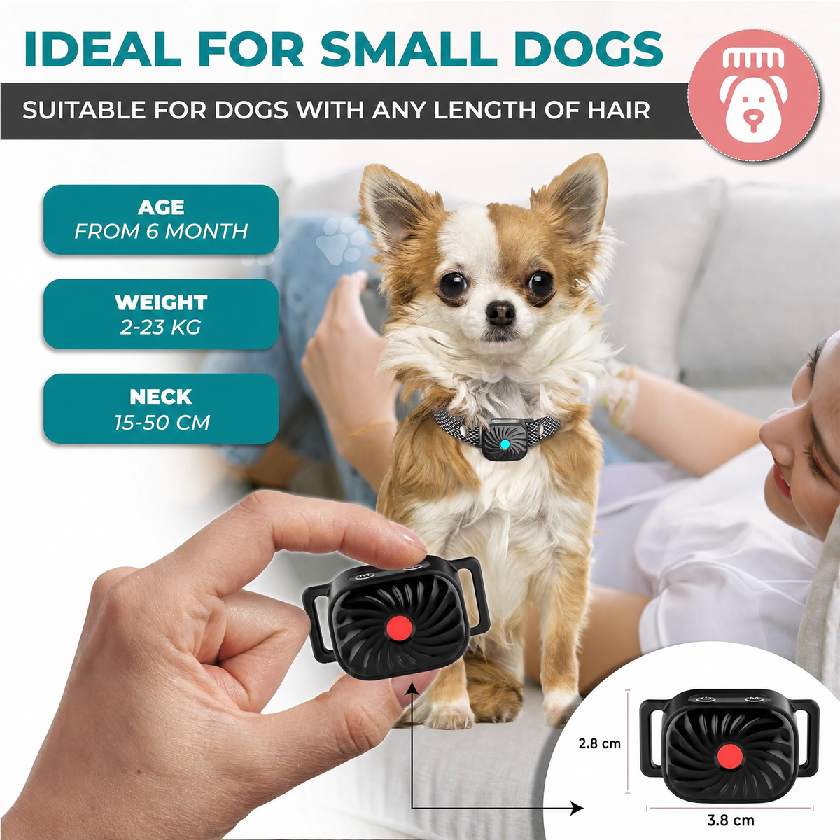 Zwart trainingshalsbandje voor kleine honden, gedragen door chihuahua, infografiek met specificaties | Boutique Moda