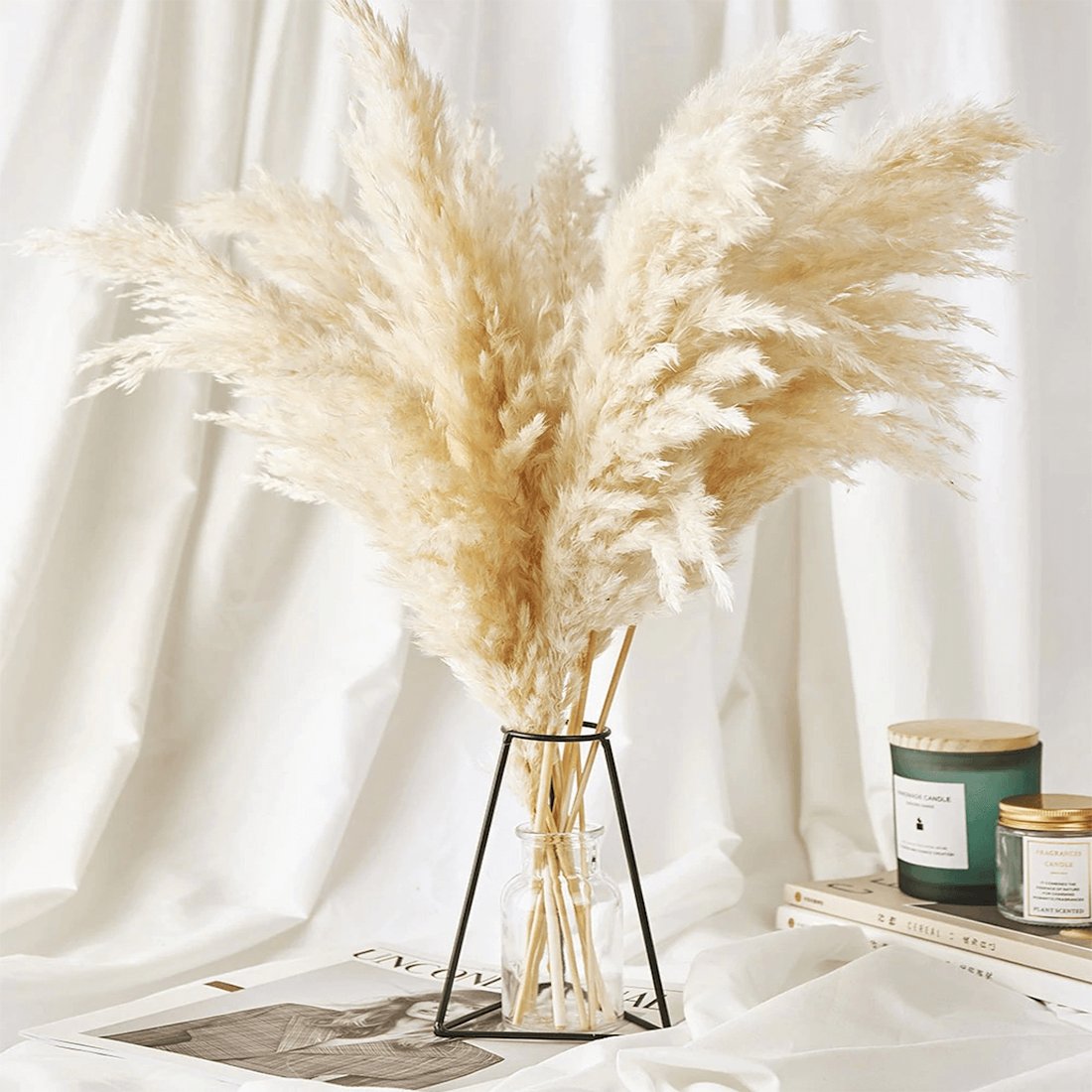 Droogbloemen Boeket | Pampasgras Naturel | 10 Stelen 56 cm-Boutique Moda