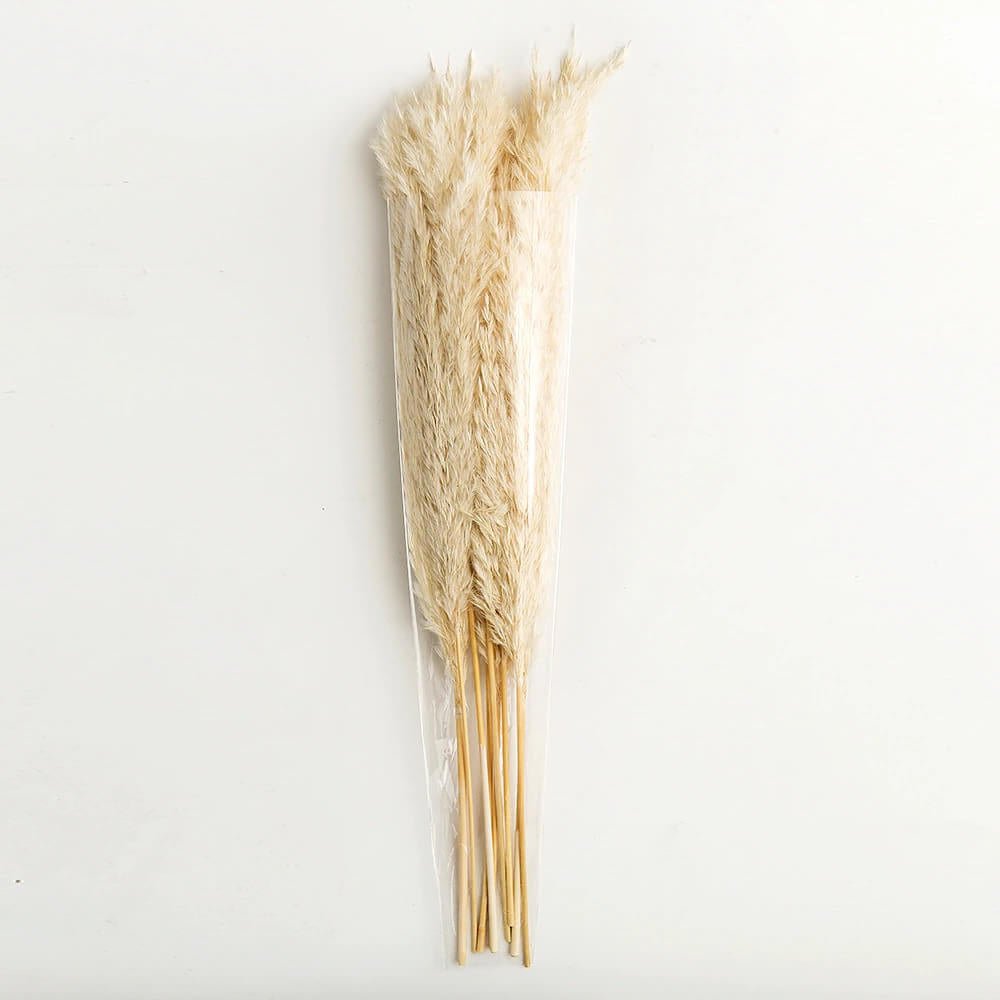 Droogbloemen Boeket | Pampasgras Naturel | 10 Stelen 56 cm-Boutique Moda