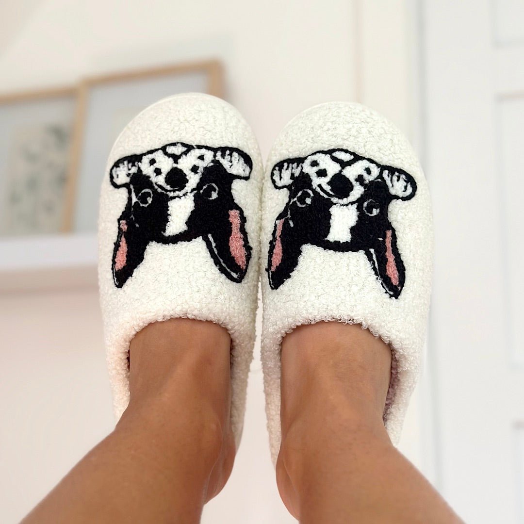 Sloffen met Boston terrier 1