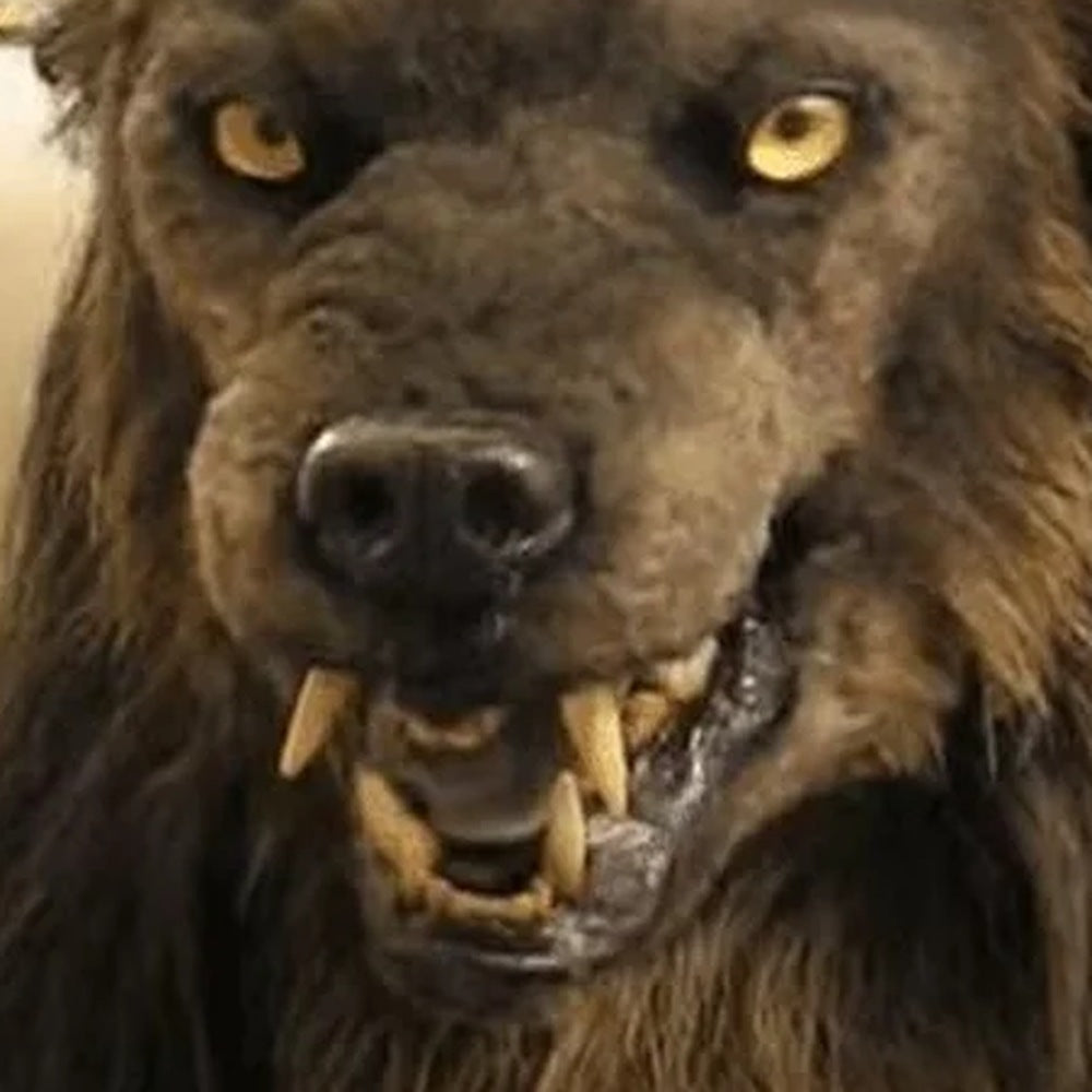 Weerwolf Masker | Latex | Volledig Hoofd | Vacht | Slagtanden