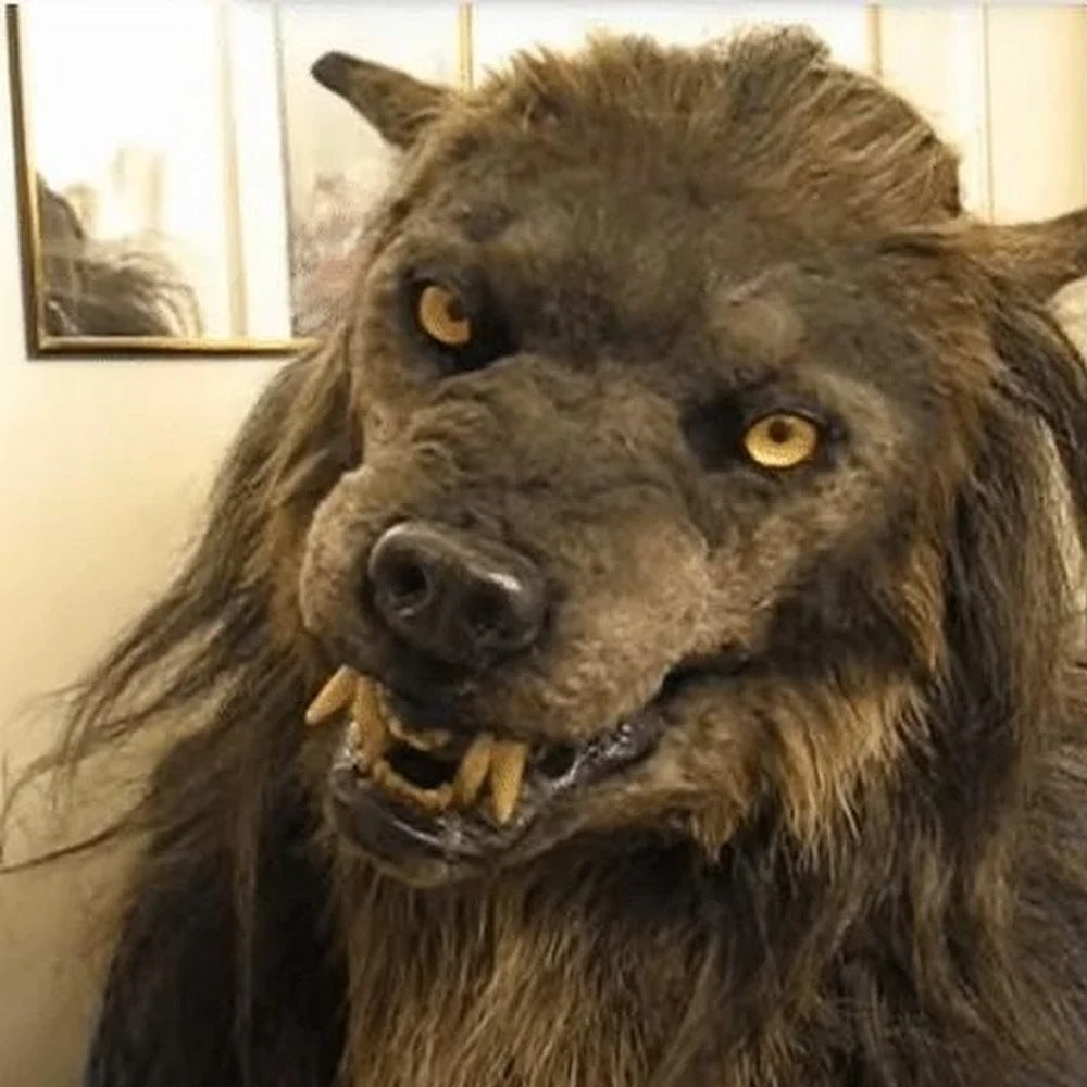 Weerwolf Masker | Latex | Volledig Hoofd | Vacht | Slagtanden