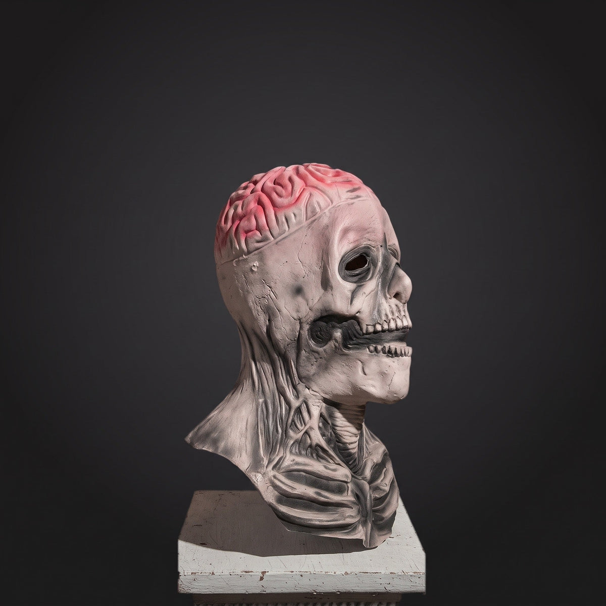 Latex Masker | Skelet | Volledig Hoofd | Met of Zonder Hoed